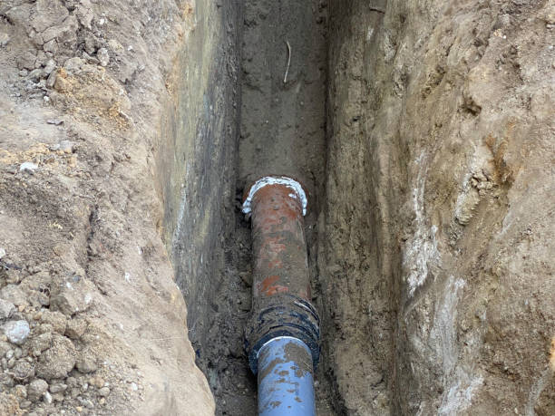 Best Basement water damage restoration  in Monette, AR