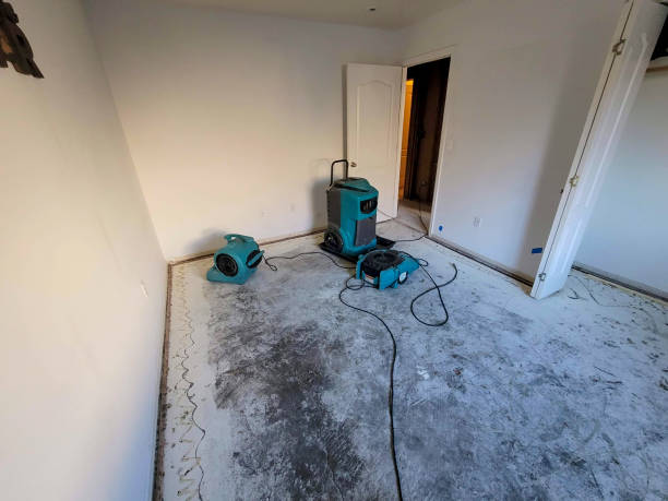 Best Water damage restoration services  in Monette, AR