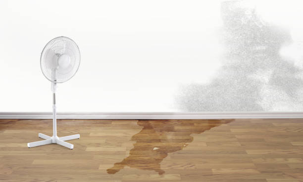Best Emergency water damage restoration  in Monette, AR