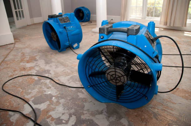 Best Professional water damage repair  in Monette, AR