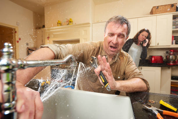 Best 24/7 water damage repair  in Monette, AR